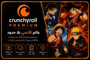 الرئيسية 9897c545 9138 41d1 8b7c af478ef4080f